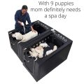 Bañera de hidromasaje para mascotas con microburbujas