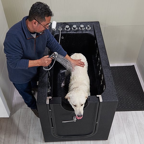 Dog Spa Pet Spa Microbubble Therapy