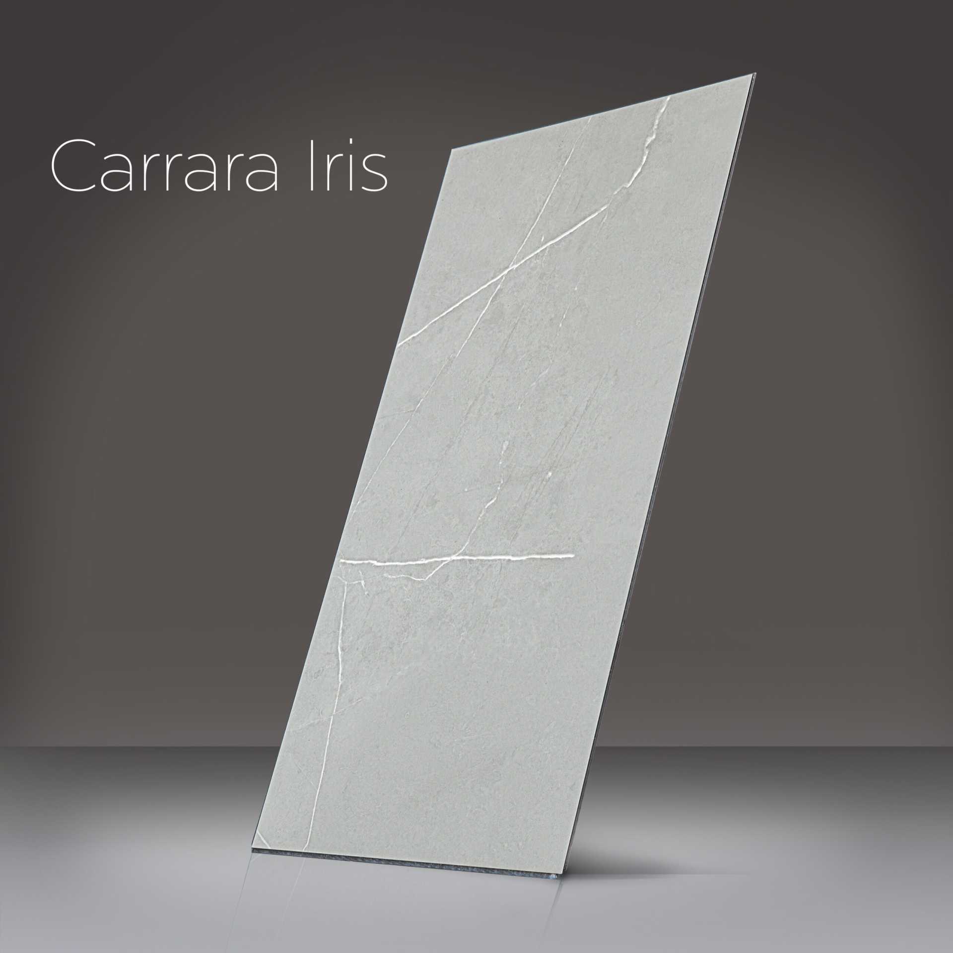 Azulejo de pared para ducha Ella T&G sin lechada de 30,5 x 61 cm (12" x 24") - carrara iris n 1 scaled |